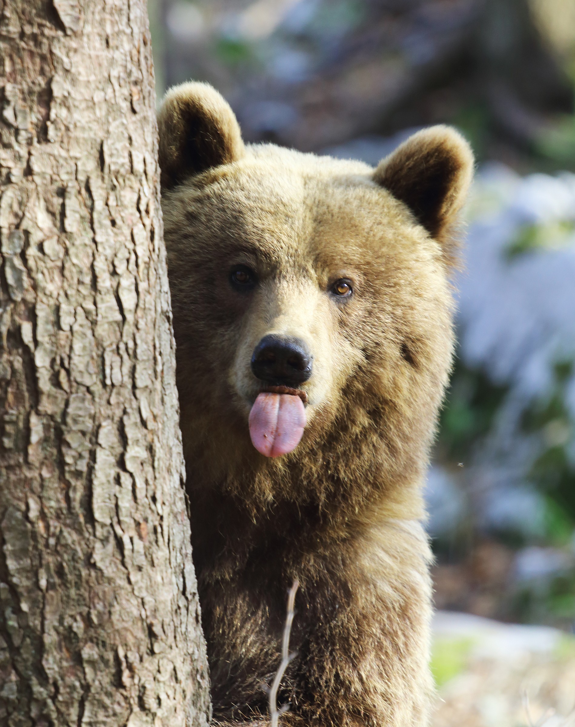 Per chi non ci credeva