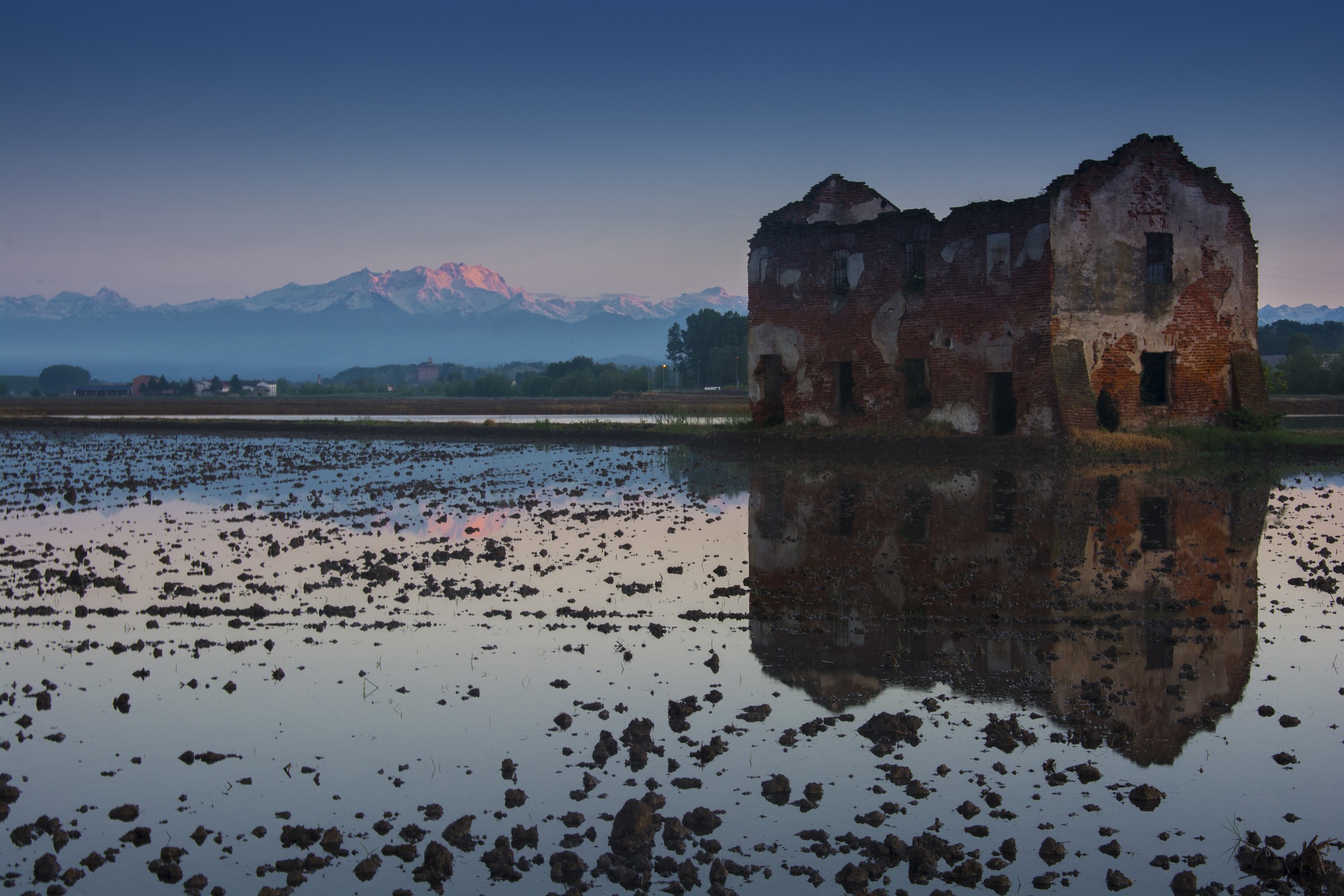 And ... in the background ... the Rose