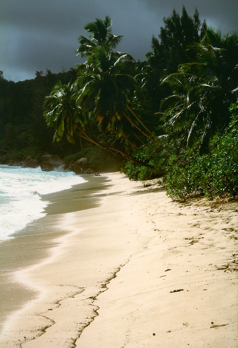 Beach Mahe '