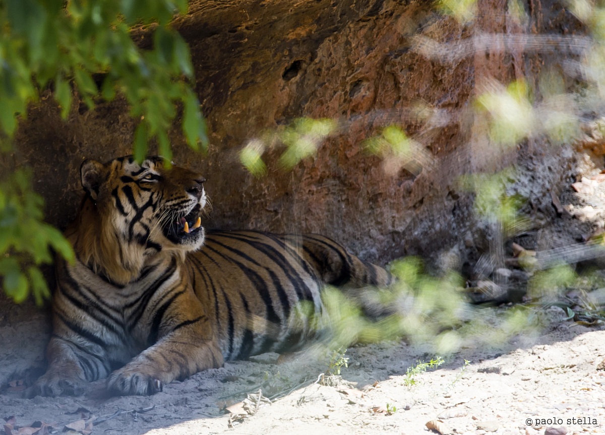 in the cave in search of fresh