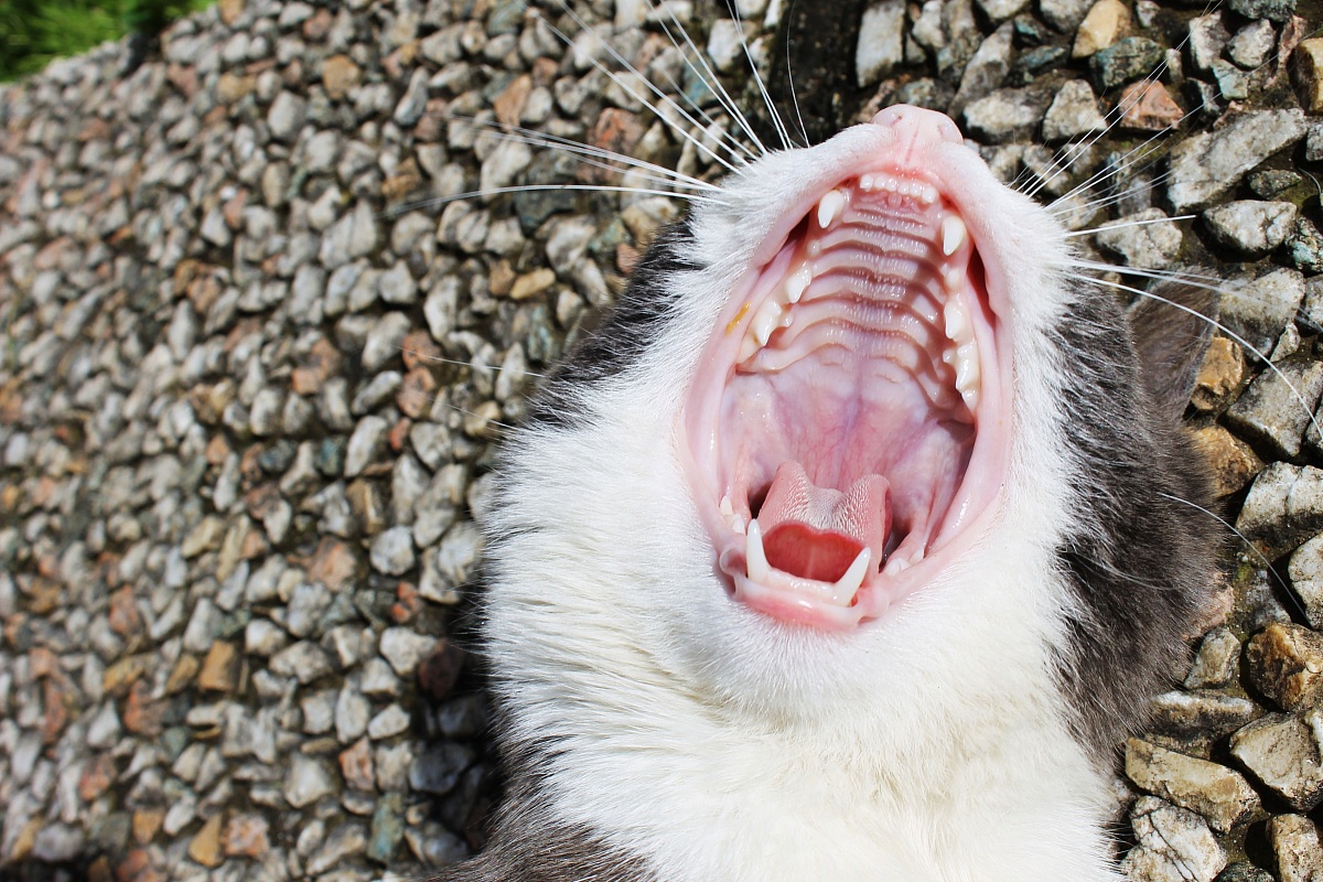 Un sorriso per la stampa!