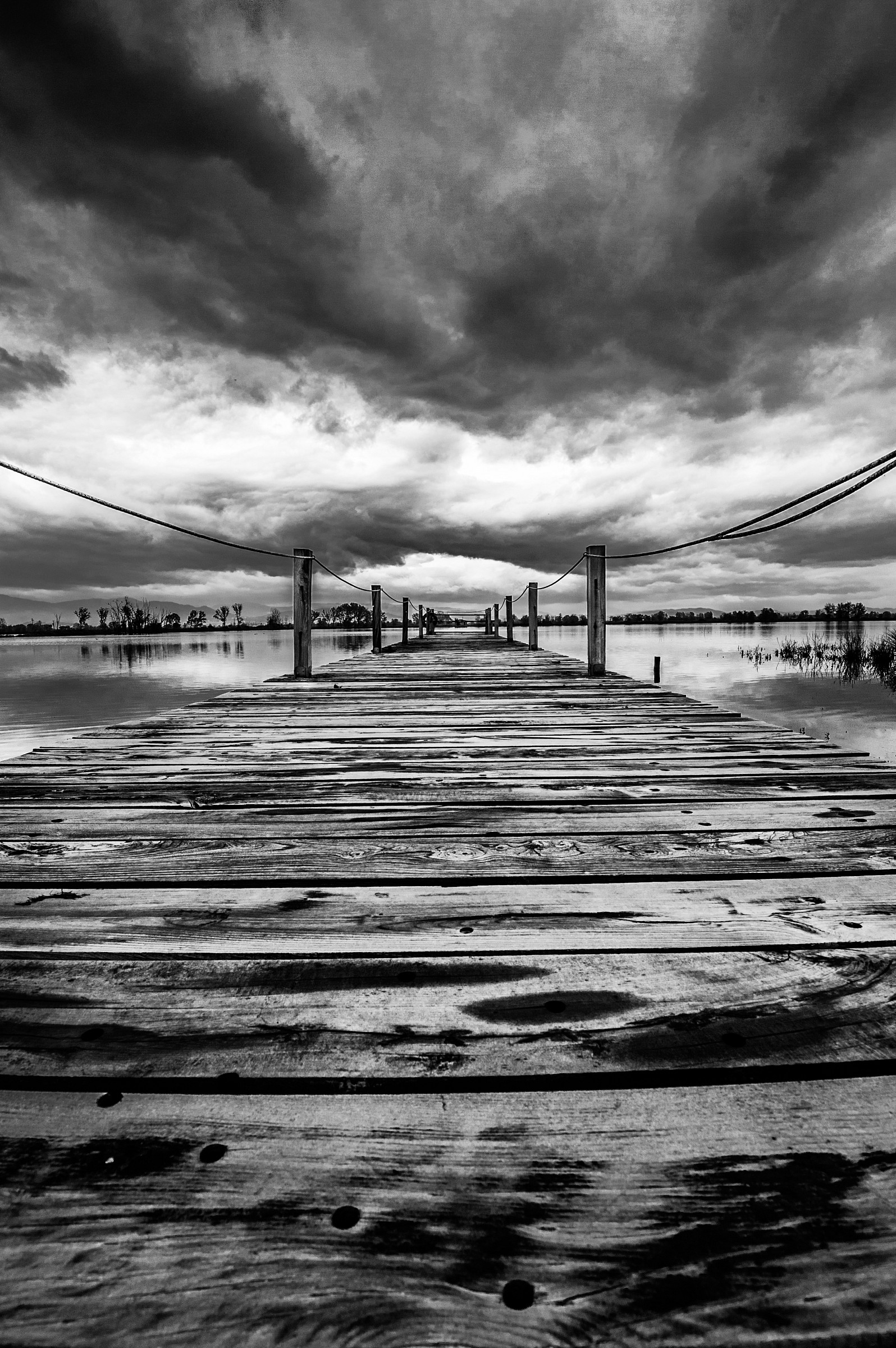 Saudade black and white