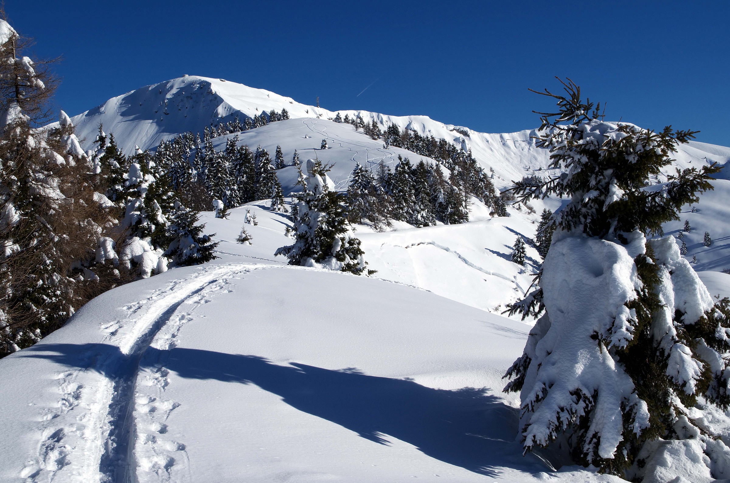 con le ciaspole verso il Grappa