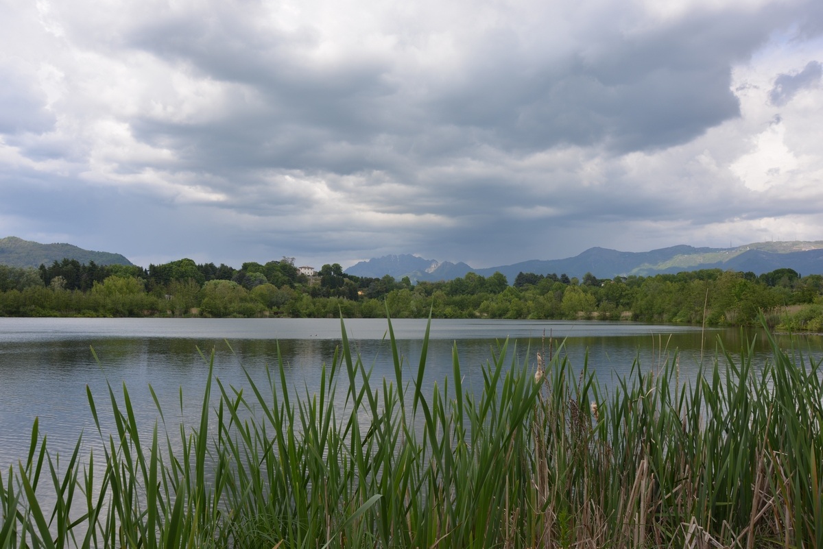 Lago di Sartirana