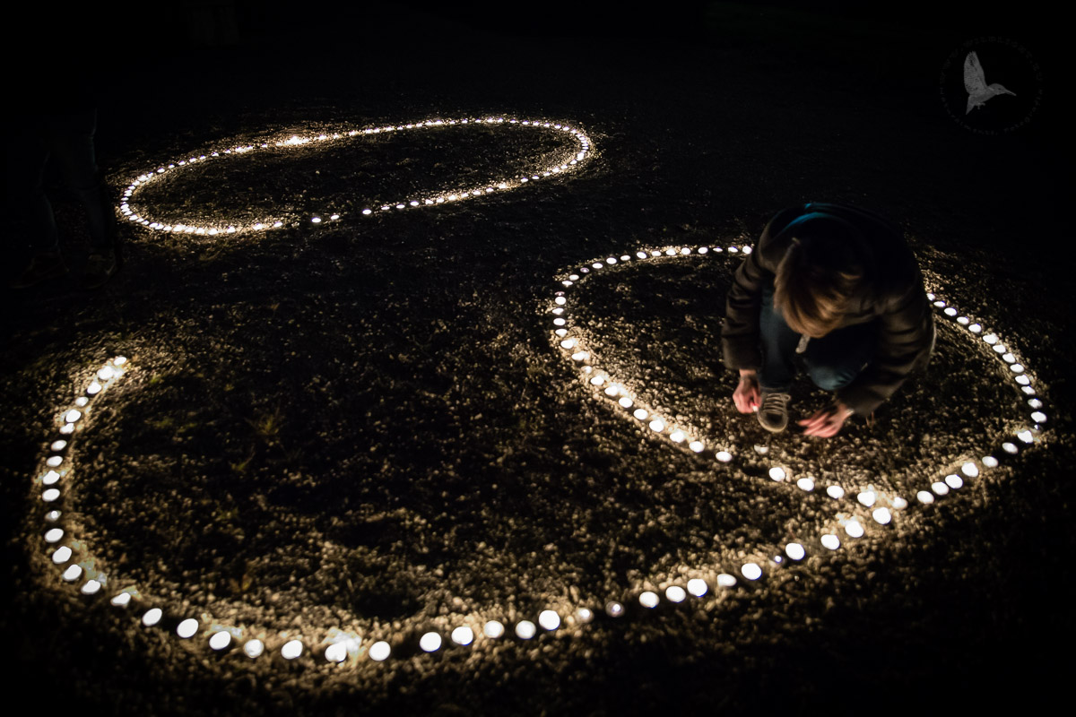 Earth Hour: The time of the earth