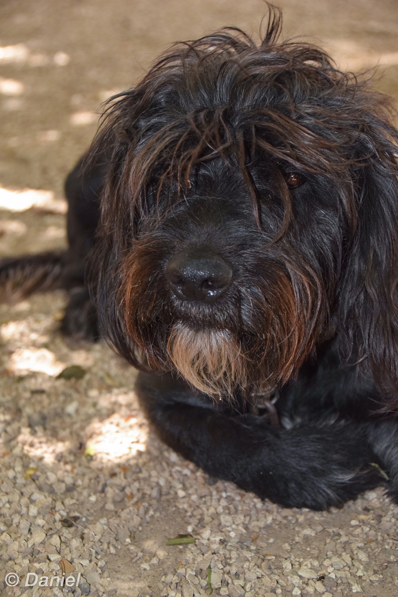 Ugh! These hairs before my eyes!