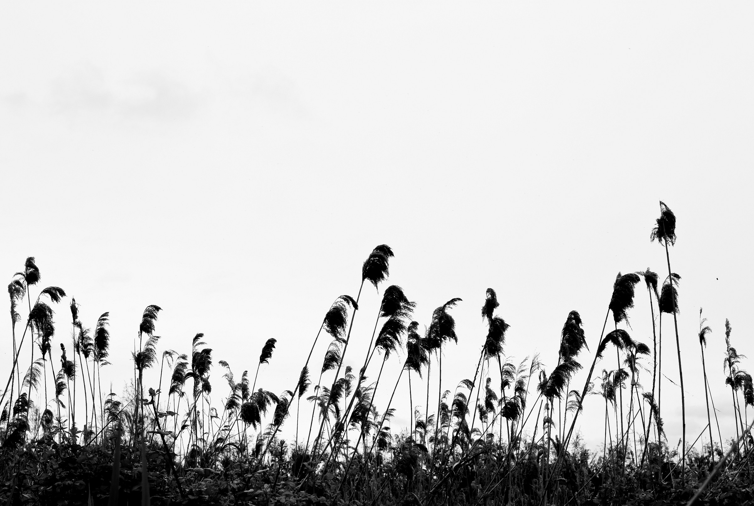 Panta rei - Tutto scorre