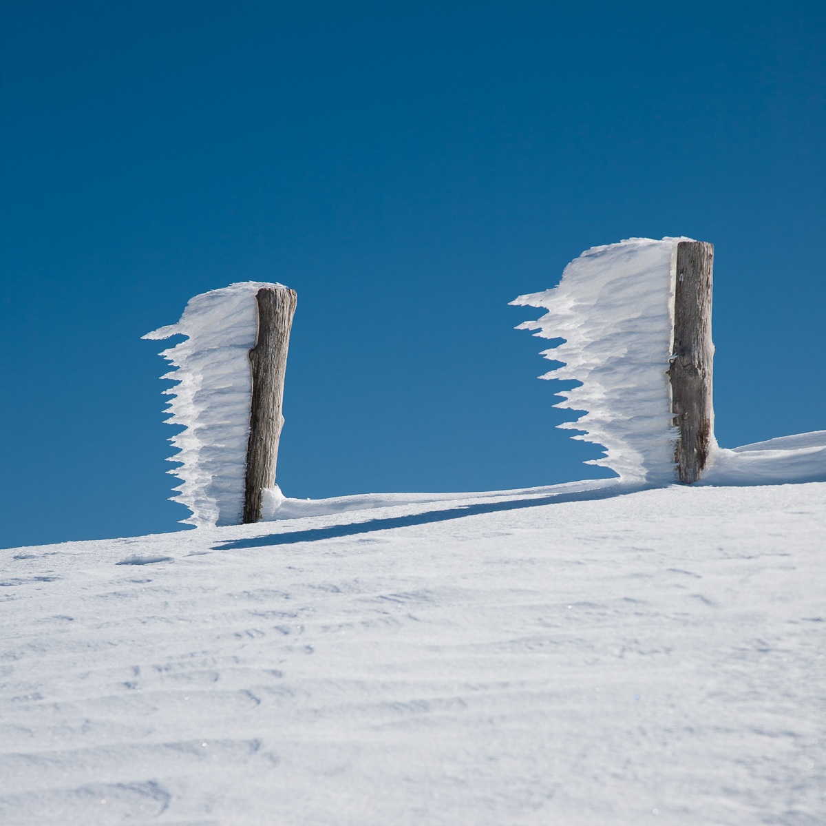 Gemelli nell'inverno