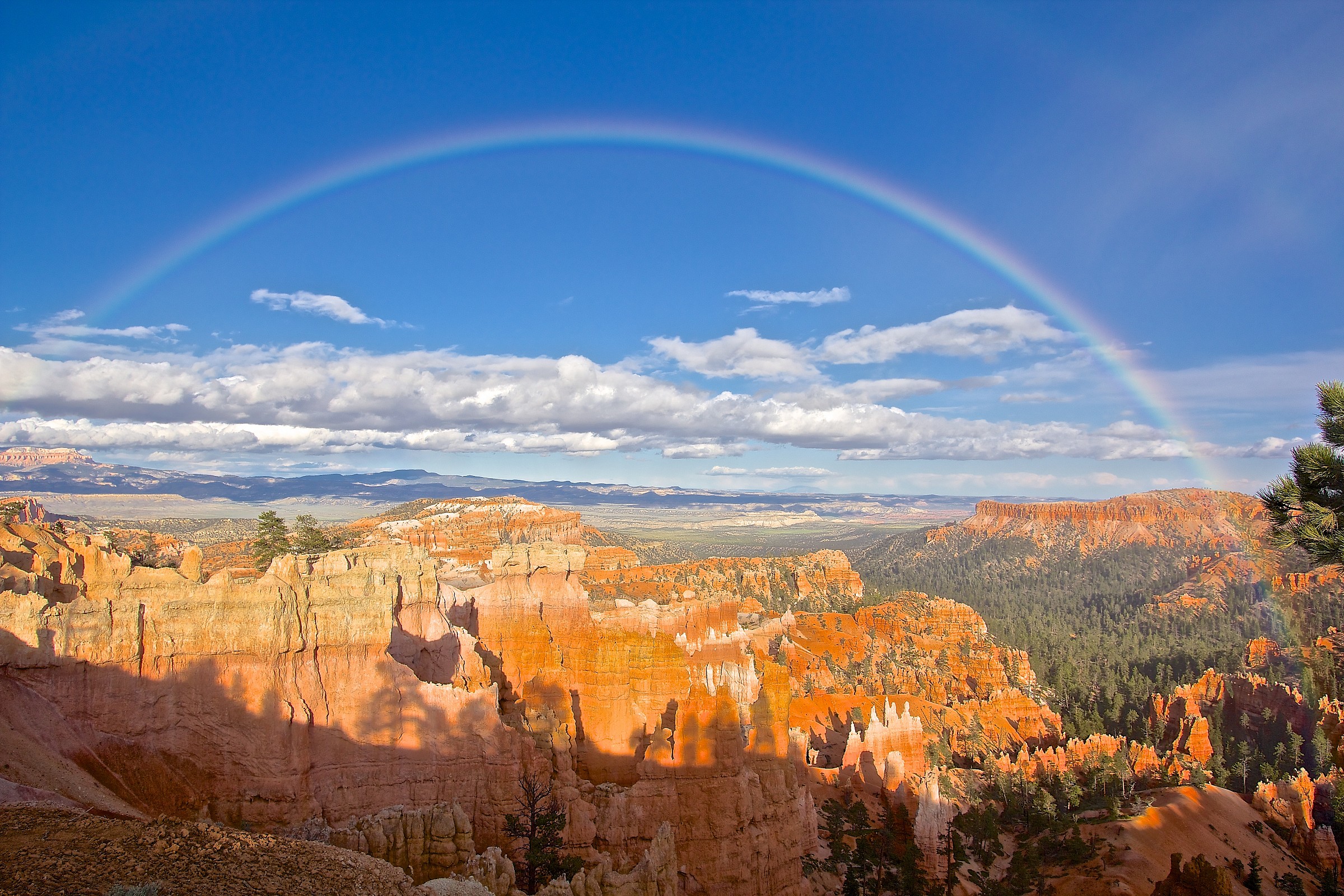 Bryce Canyon Rainbow
