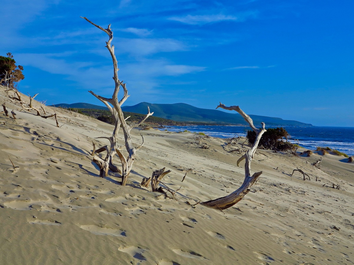 Sardegna3