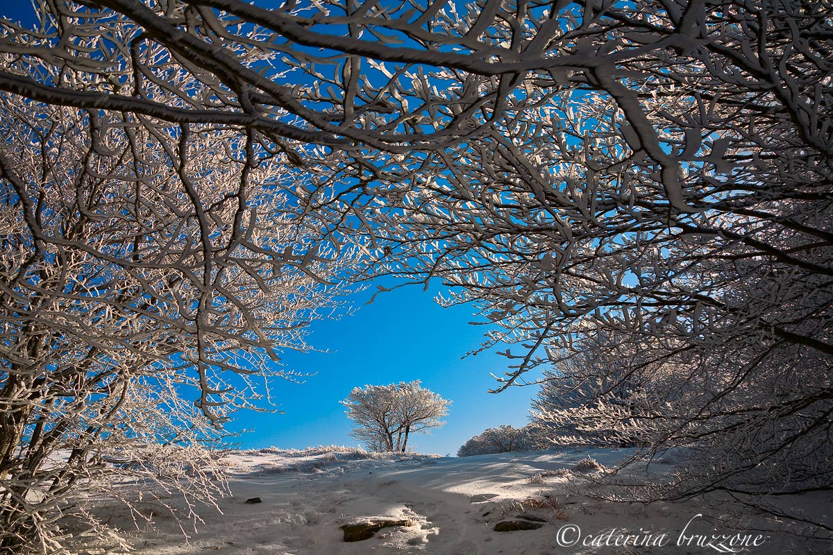 Parco del Beigua, Passo del Faiallo