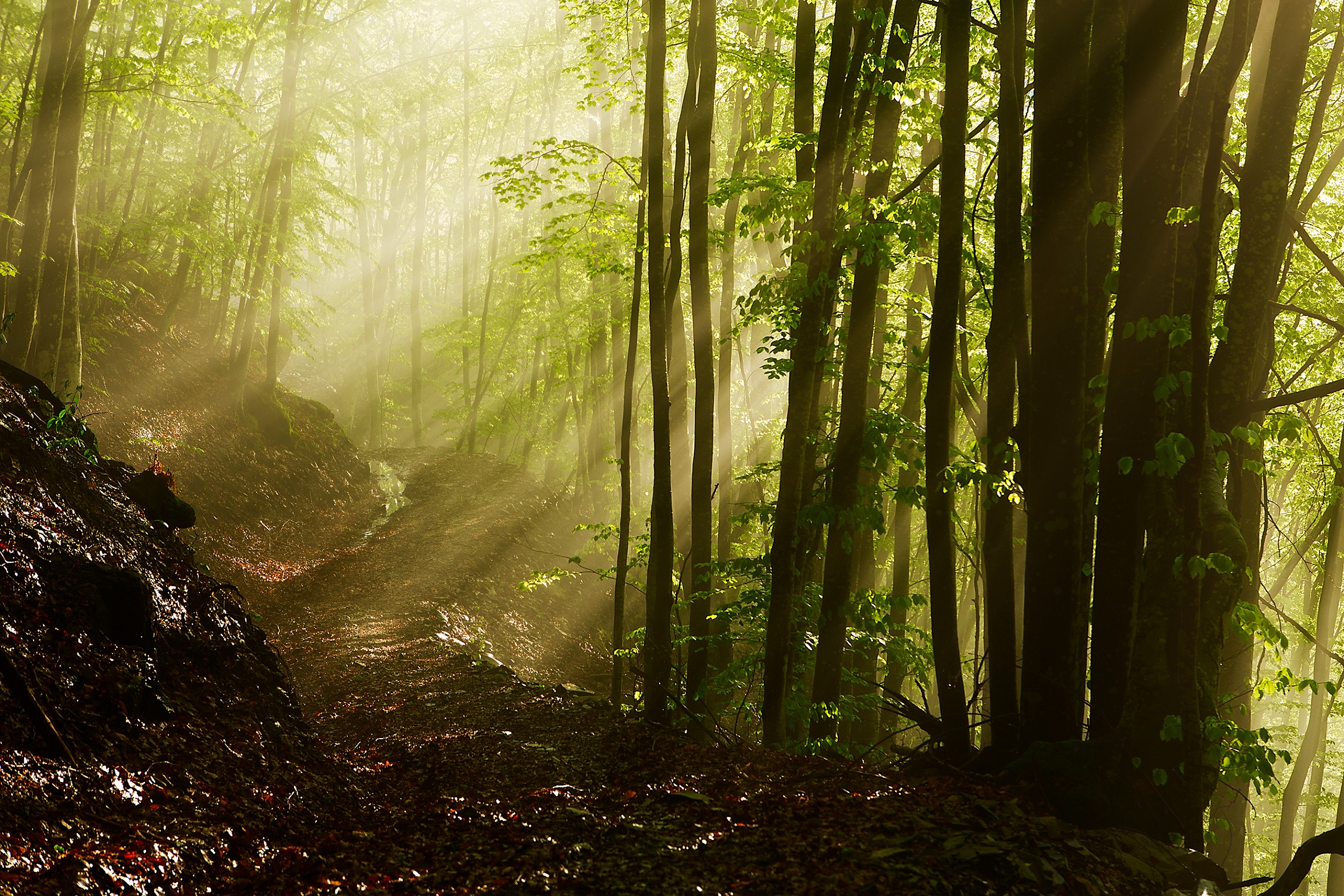Prime luci dopo la tempesta