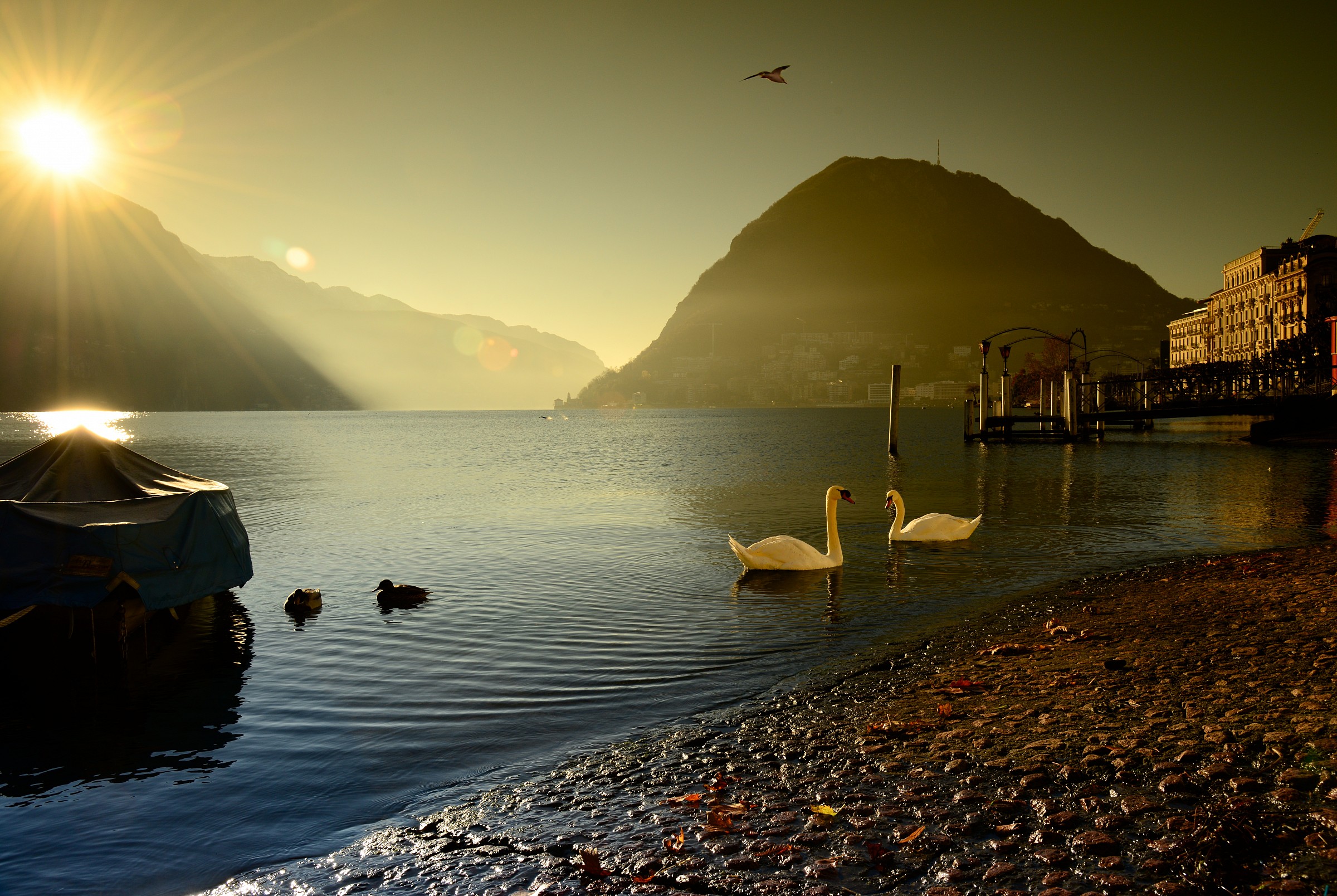 The beauty of the lake