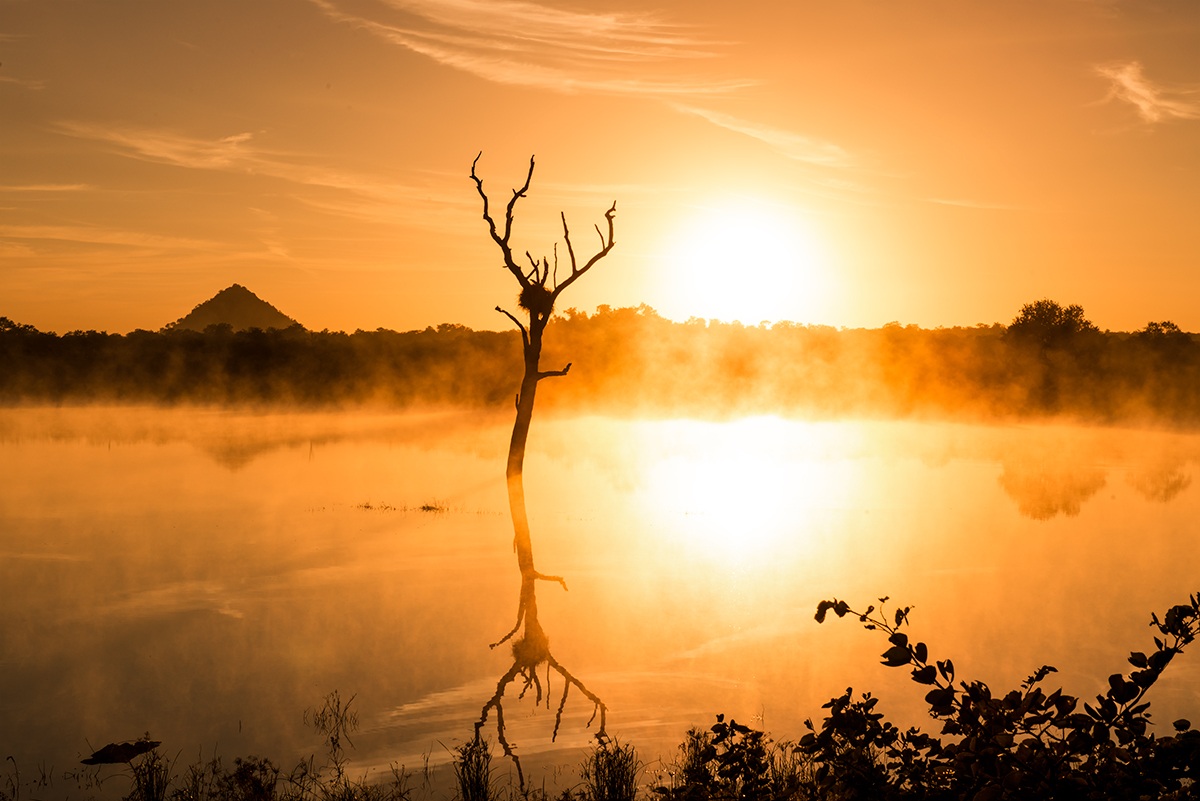 colori del sud africa