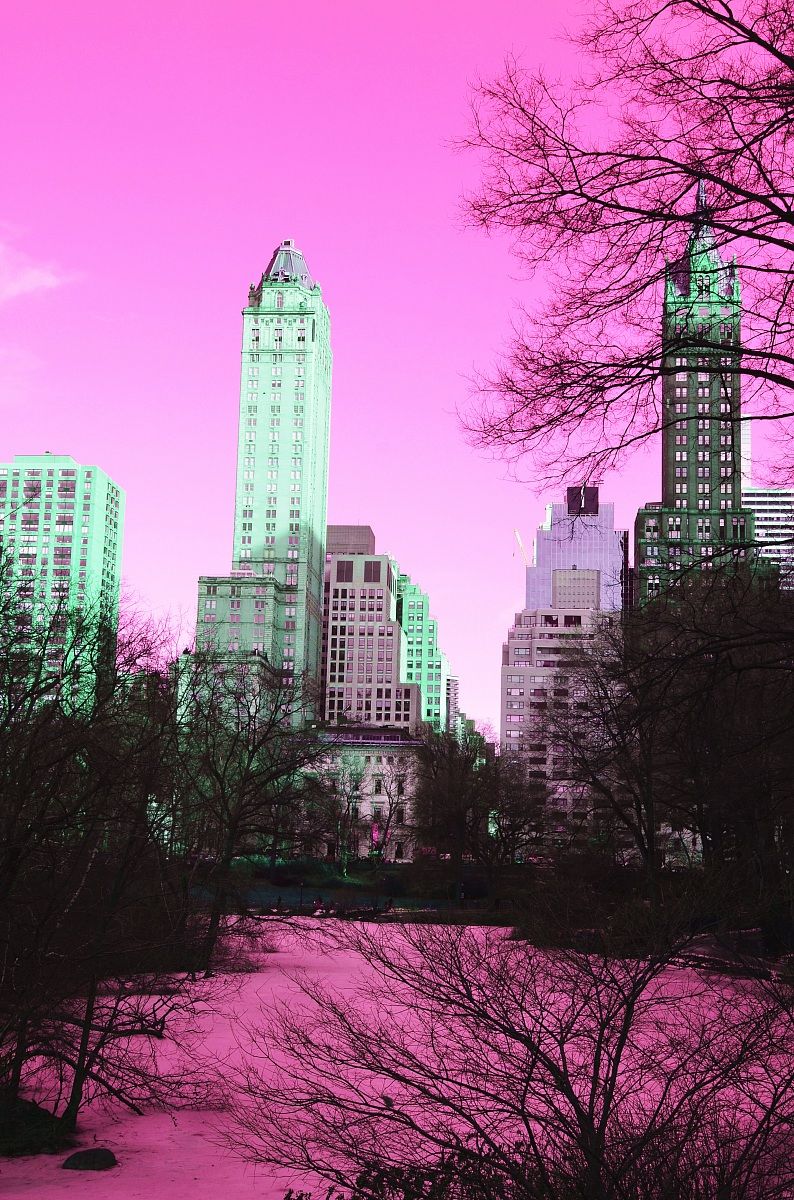 NY - Central Park # 1