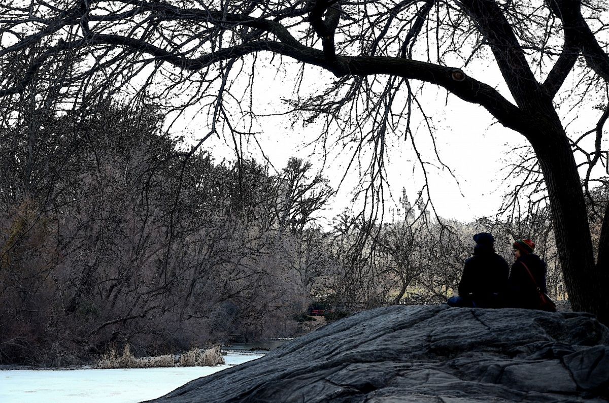 NY - Central Park # 2