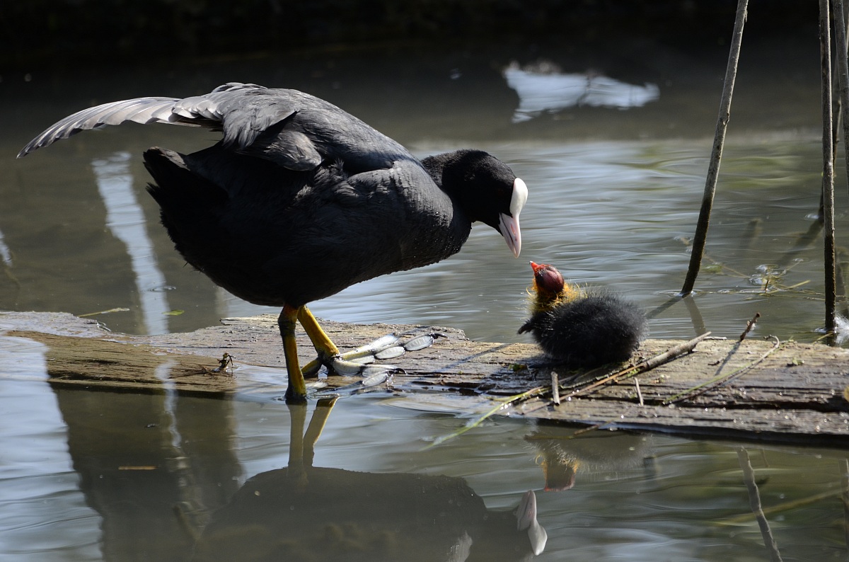 how beautiful you are my son!!