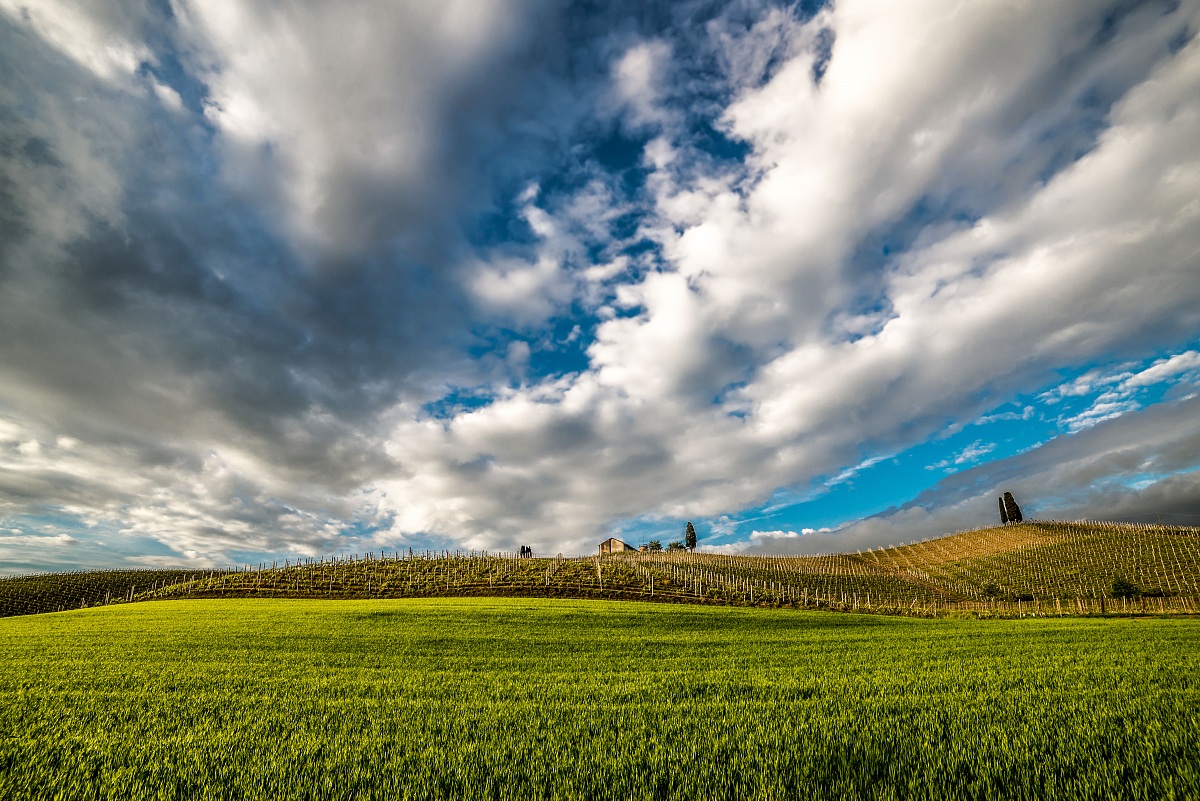 Attimi di primavera Astigiana