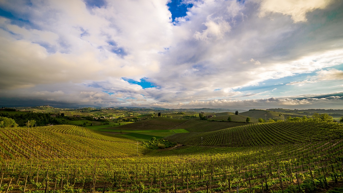 Scorci primaverili del Monferrato