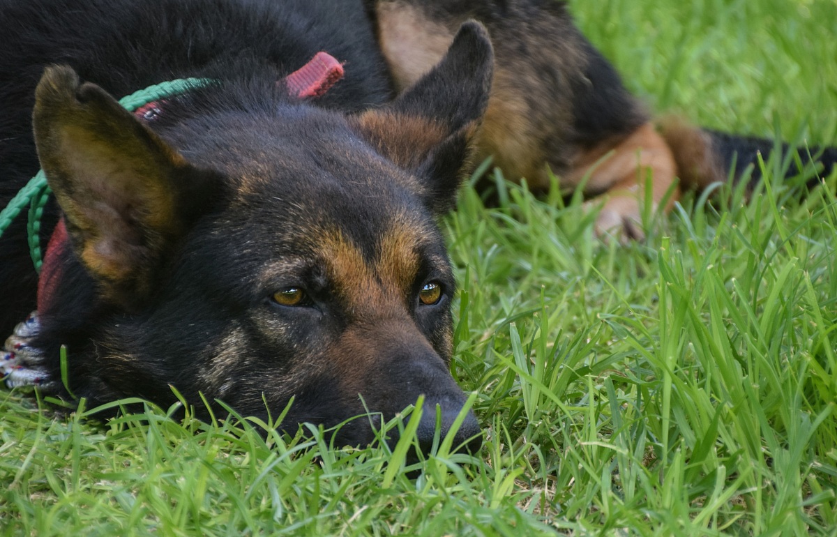 The world in your eyes ...