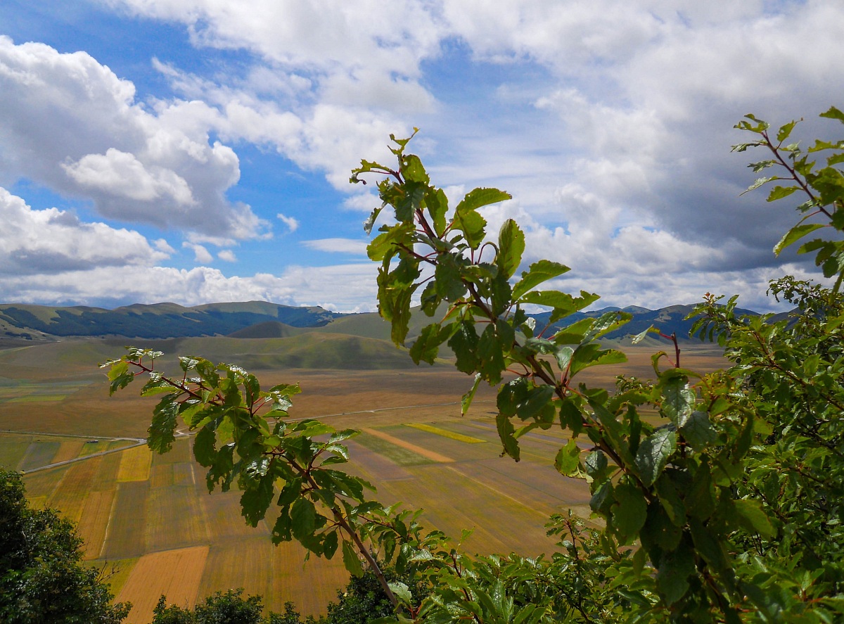 Trip to Castelluccio
