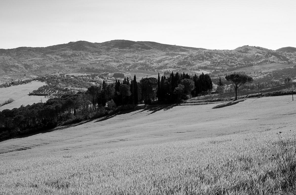 Tuscany Landscape