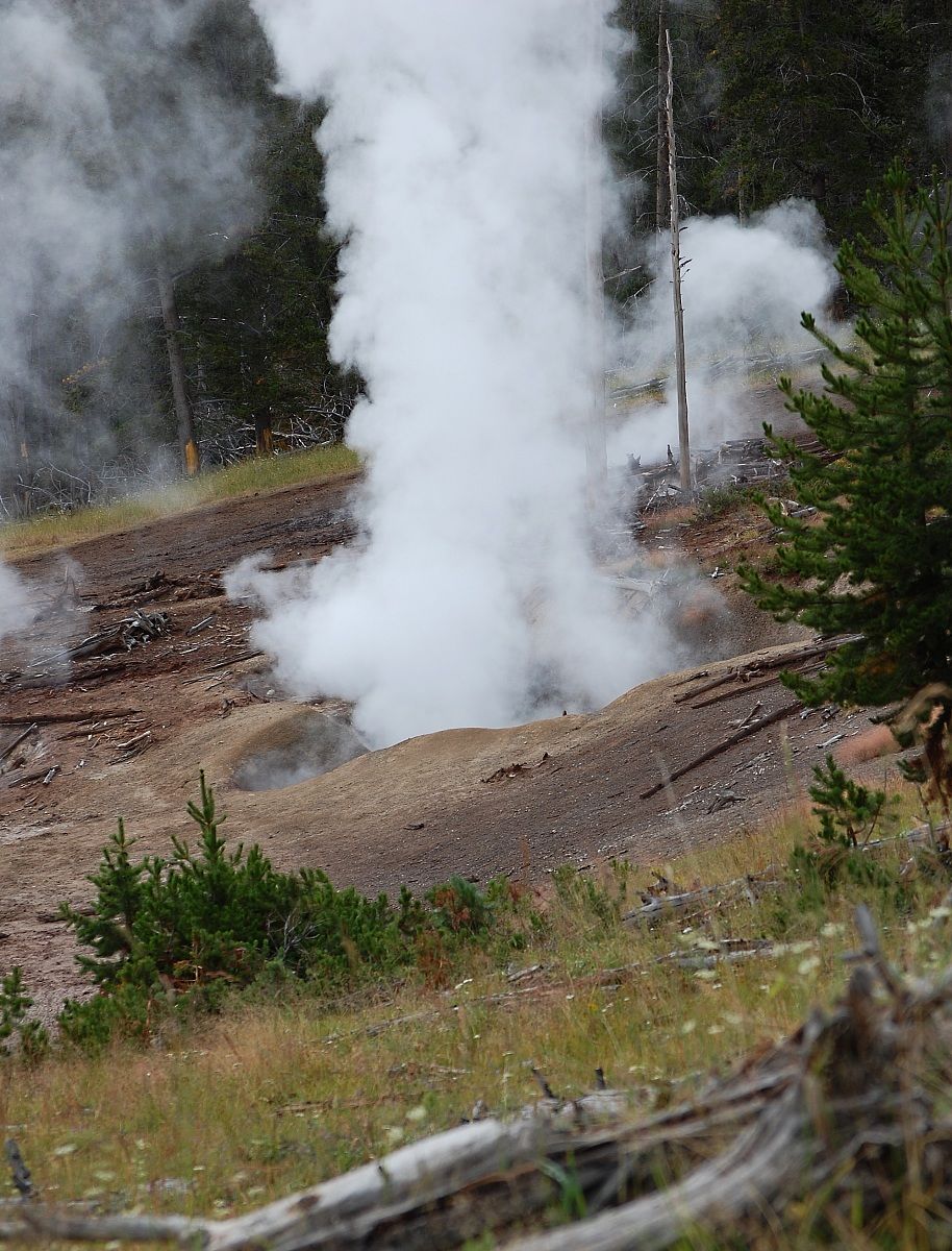 Geyser