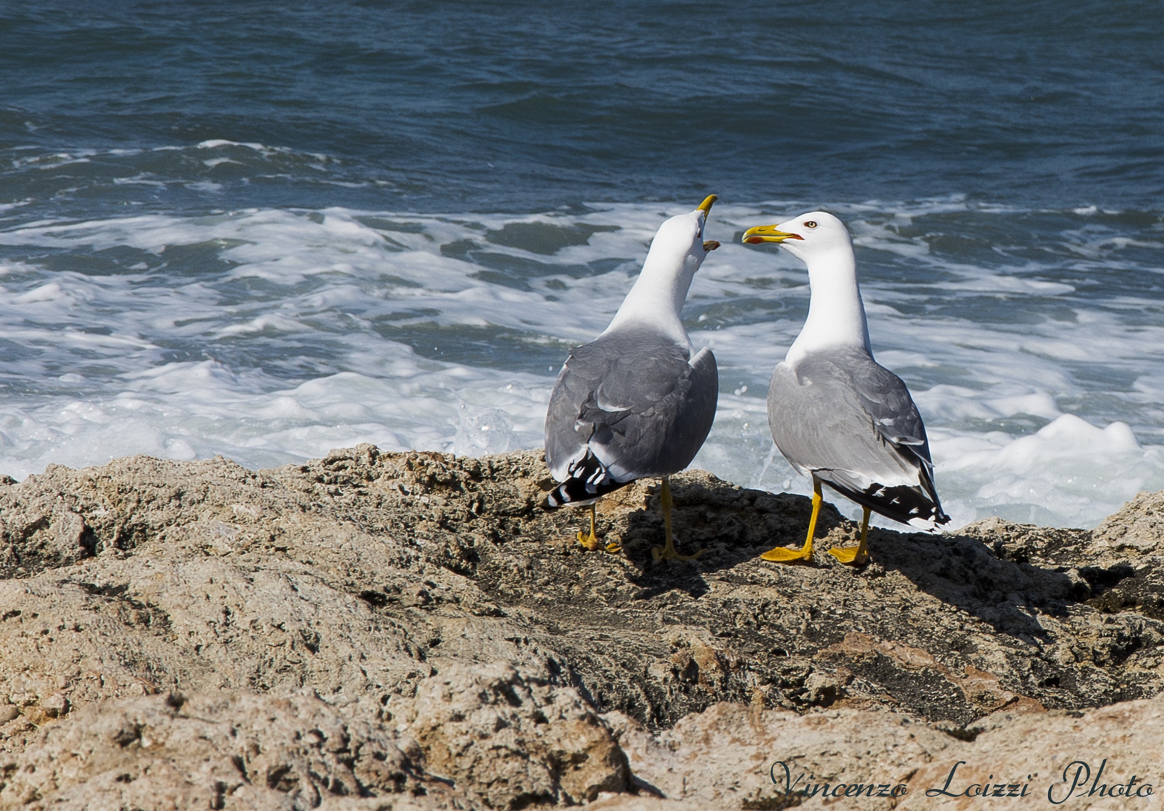 Chiudi il becco e stammi ad ascoltare!