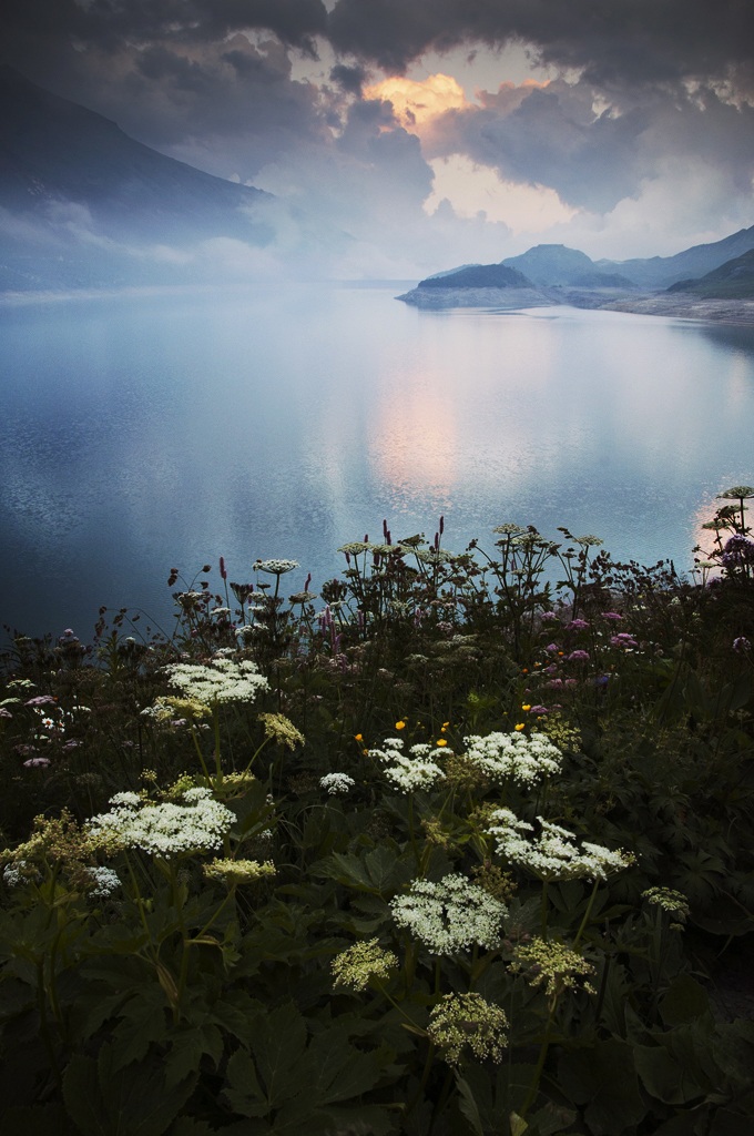 Springtime from Mont-Cenis