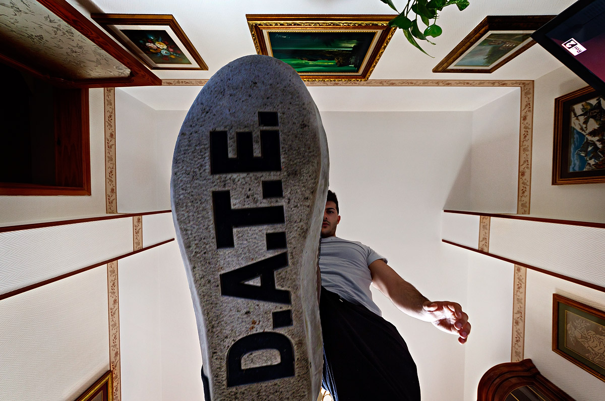 last moment of an ant