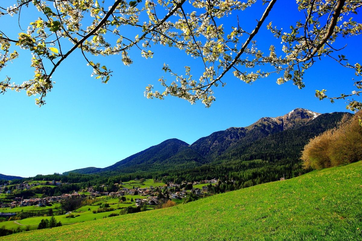 Il mio paese Varena ed i suoi prati...