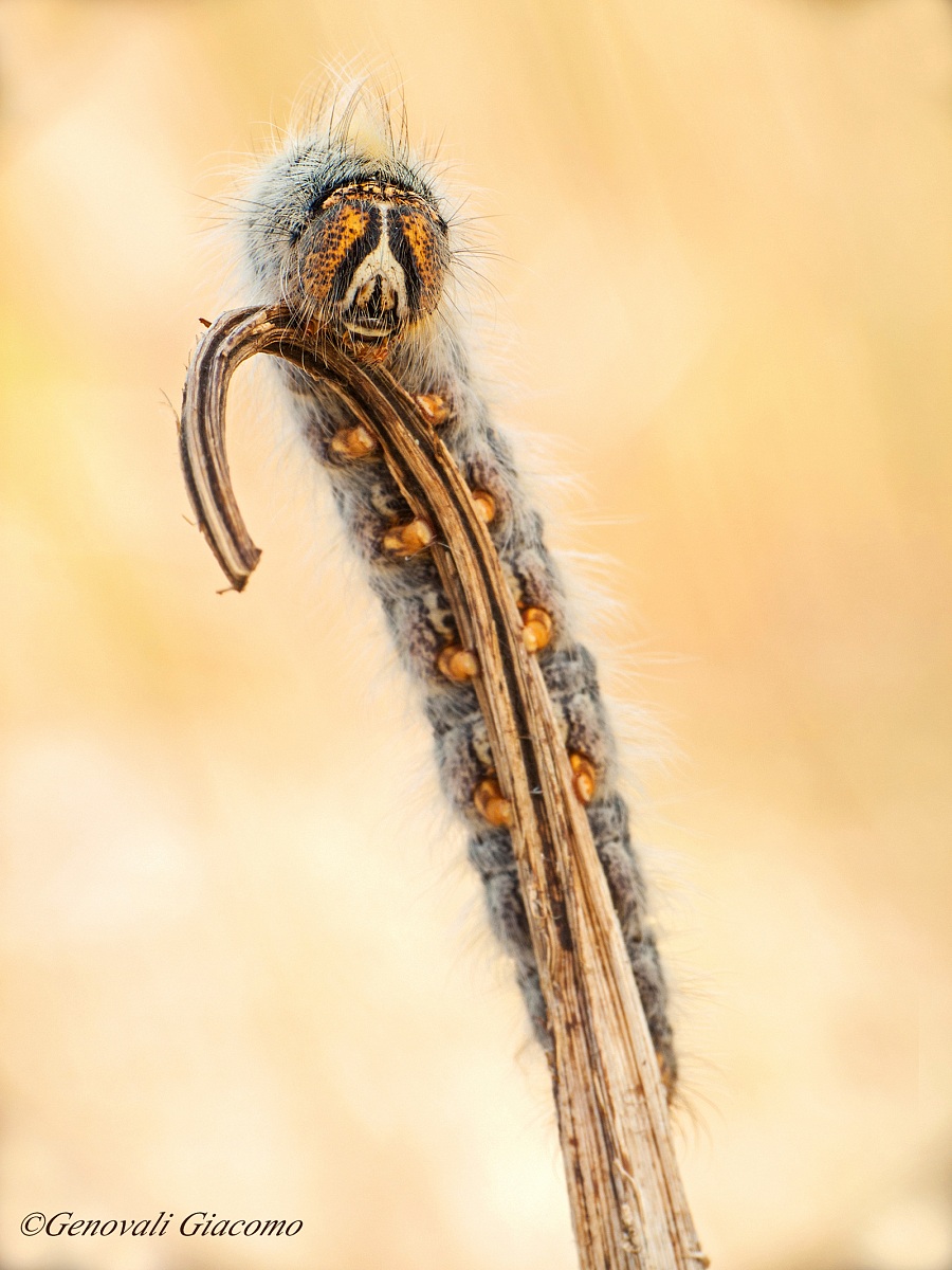 change of perspective