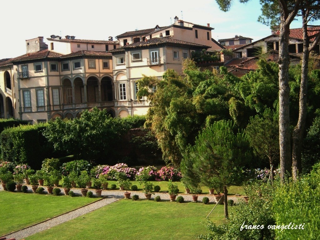 Lucca - P.zzo Pfaneer