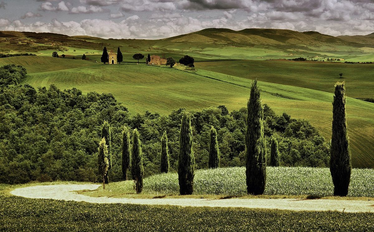 Cipressi in preghiera