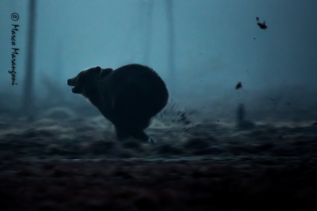 running in the dark - 2