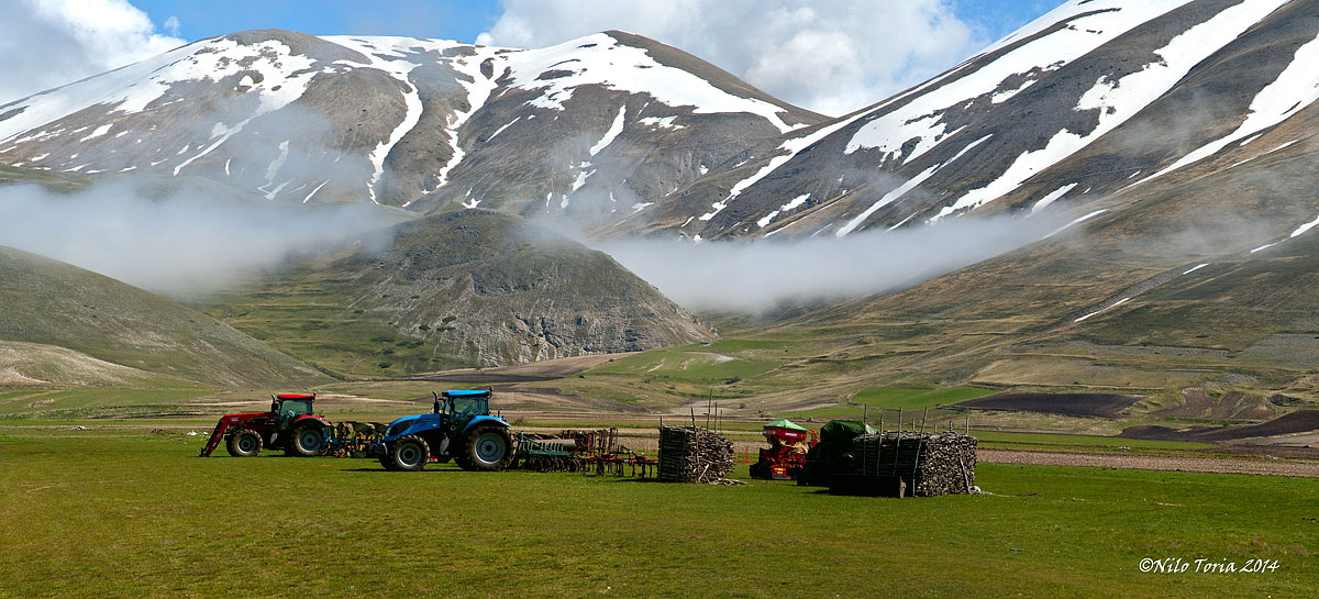 The rest of the giants