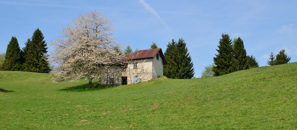 glimpses of montagnia