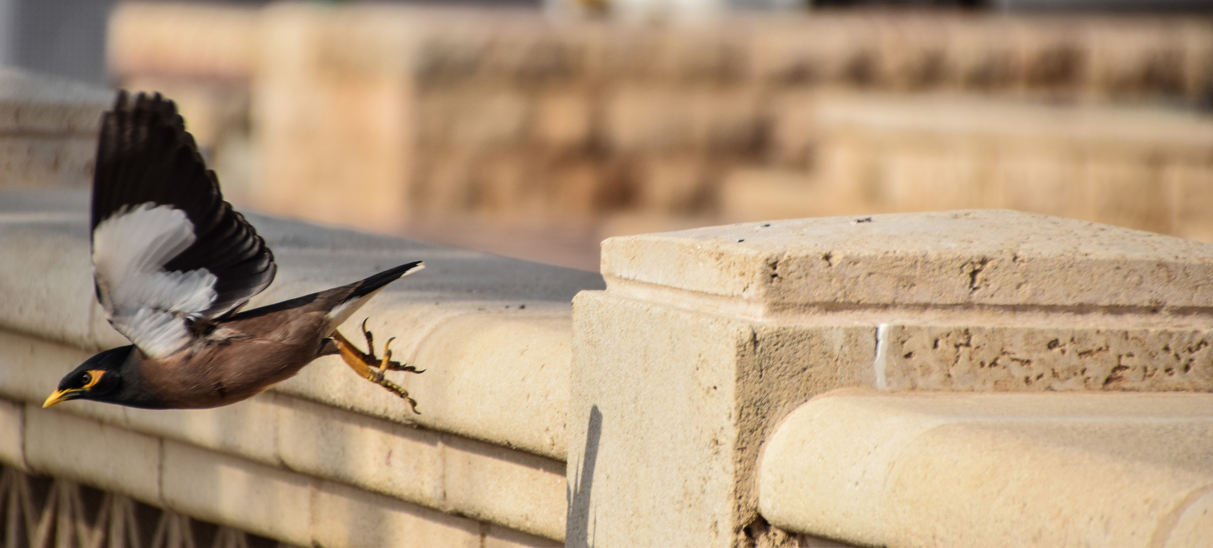 ...sono più veloce io...