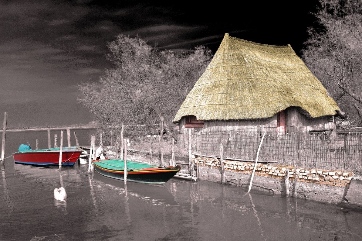 Casoni infrared color