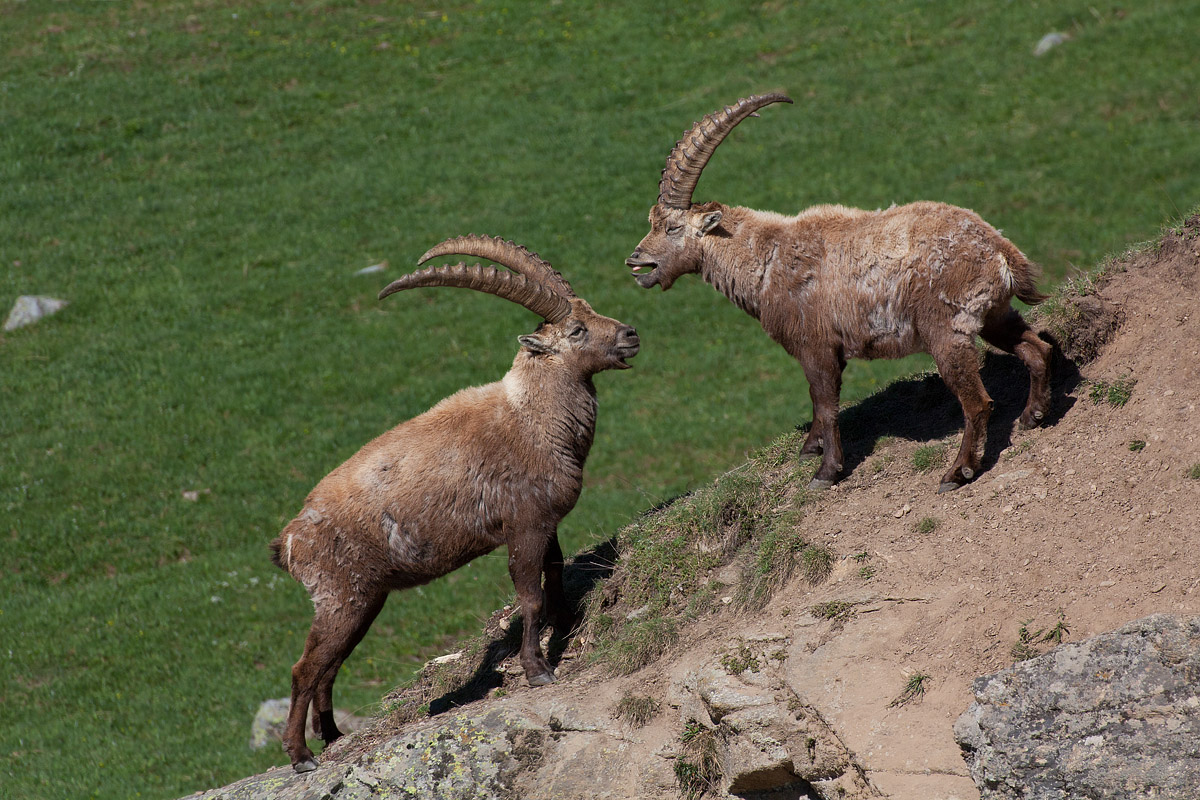 The next time you make up!