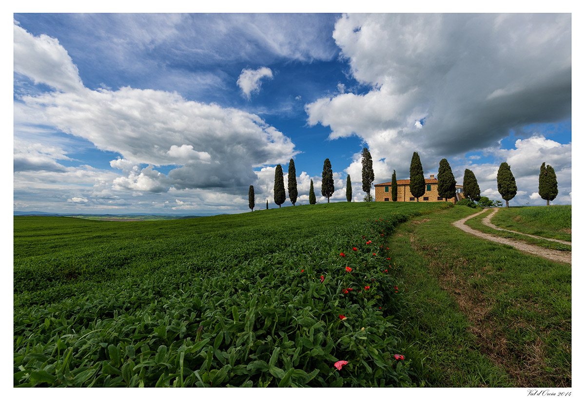 Sulla via dei Cipressini