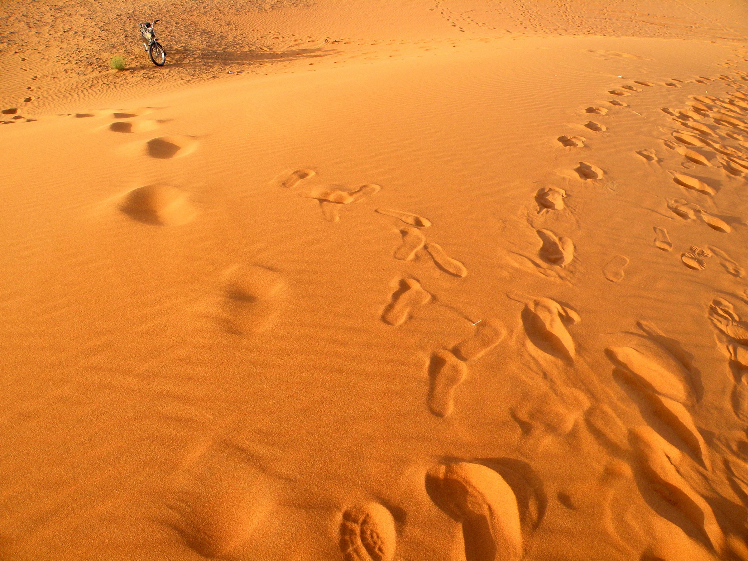 The writing of the wind