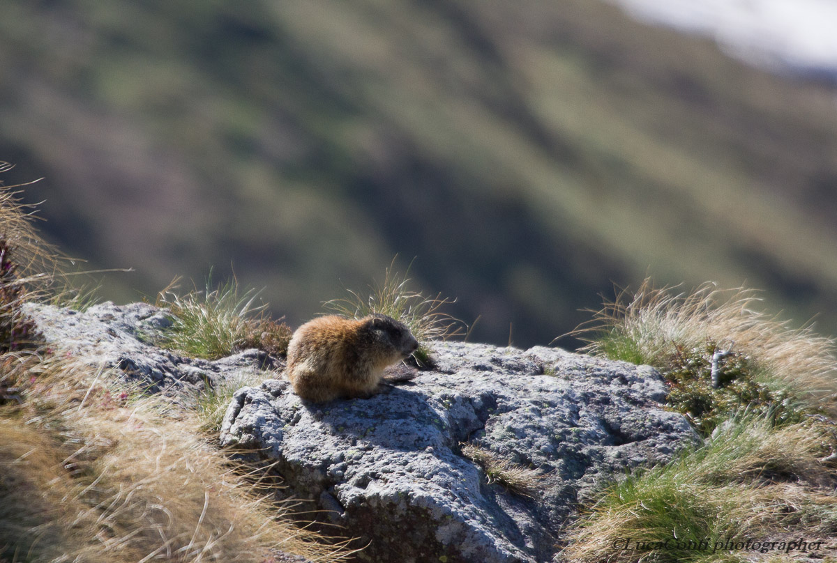 Santa Rita (Valsassina)