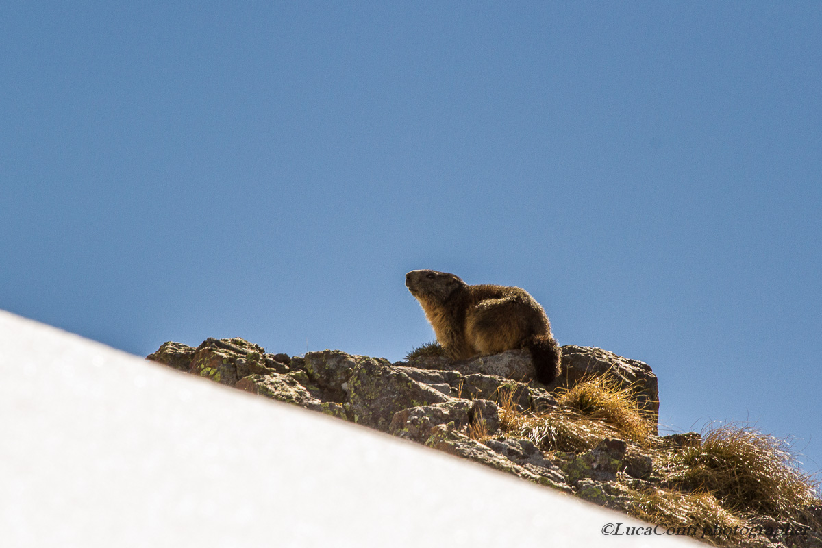 Santa Rita (Valsassina)