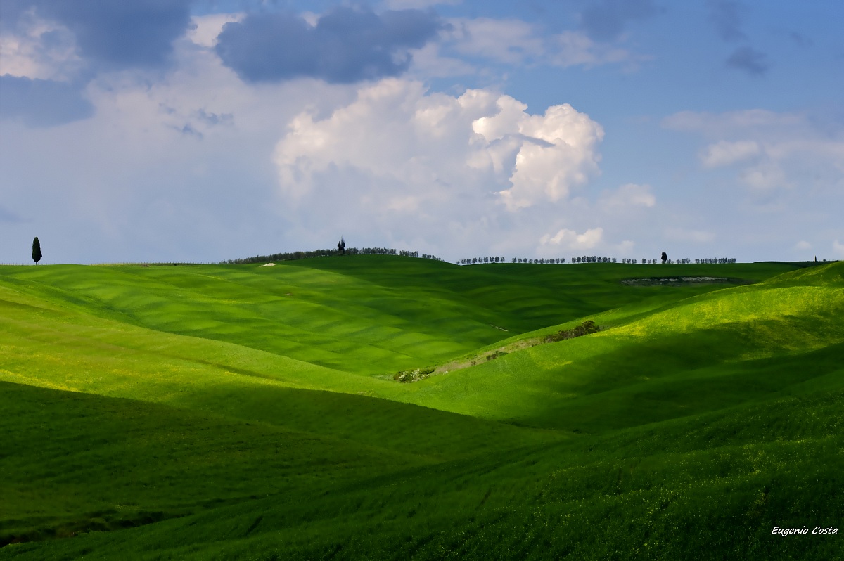 Val d'Orcia - Montalcino