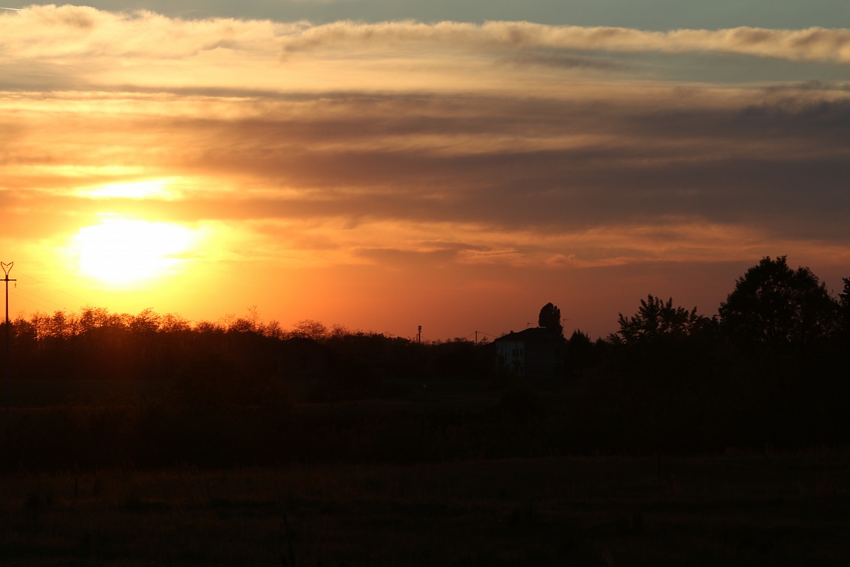 No flare ... that ass ...