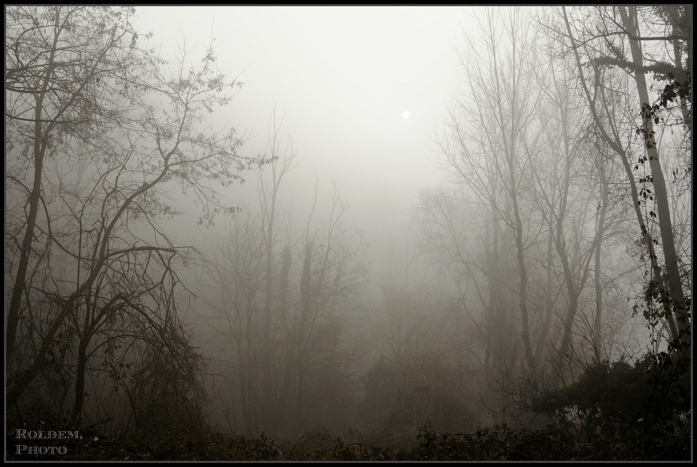 colorare con la nebbia