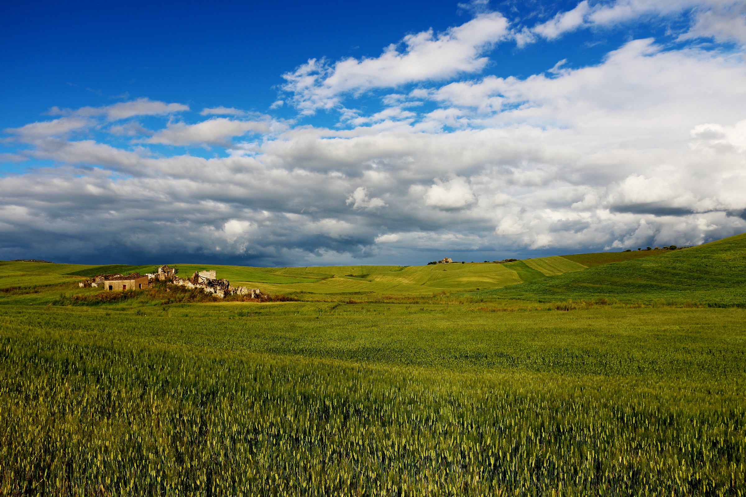 The rebirth of cool .....