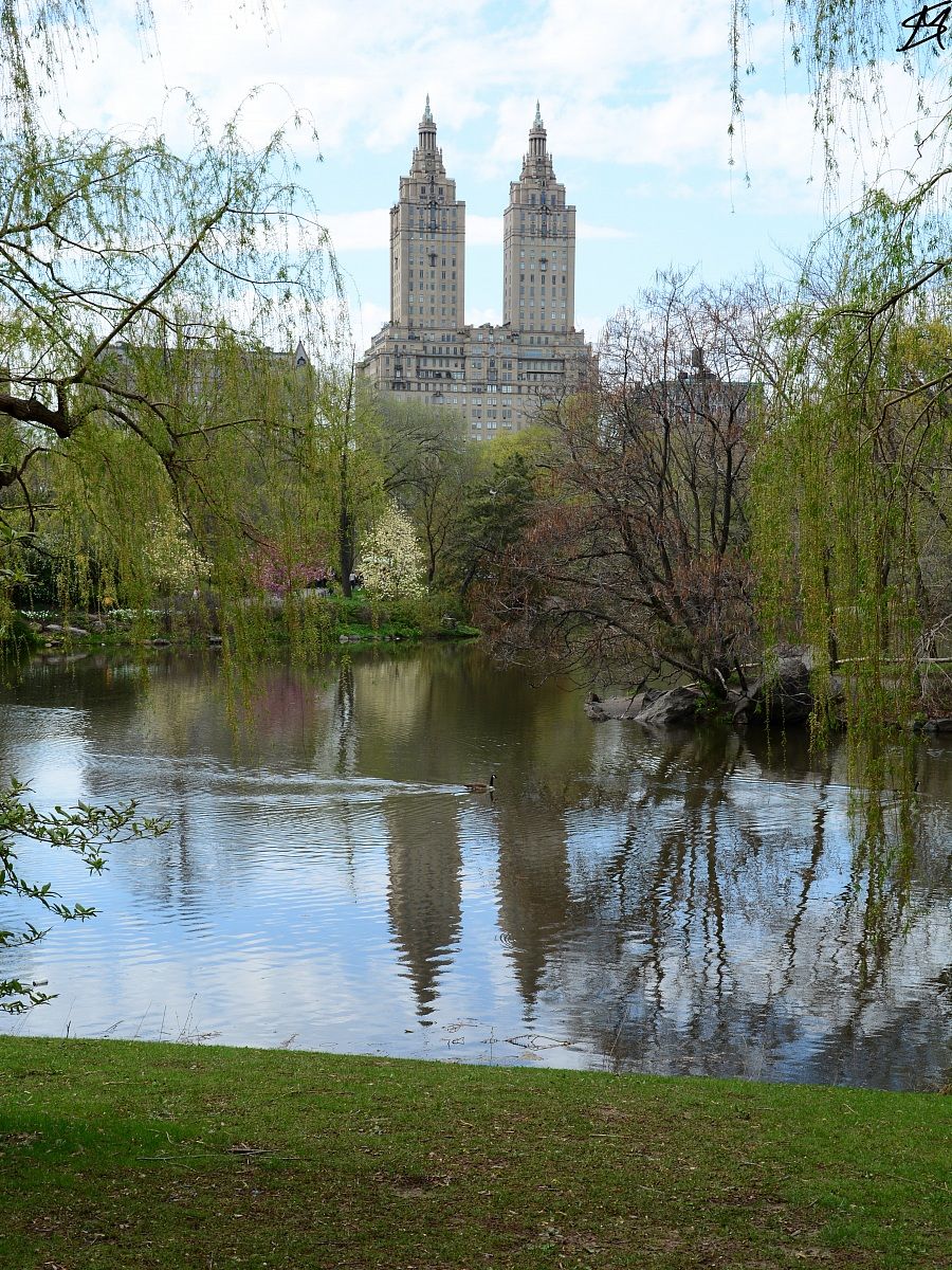 Quiete a Central Park