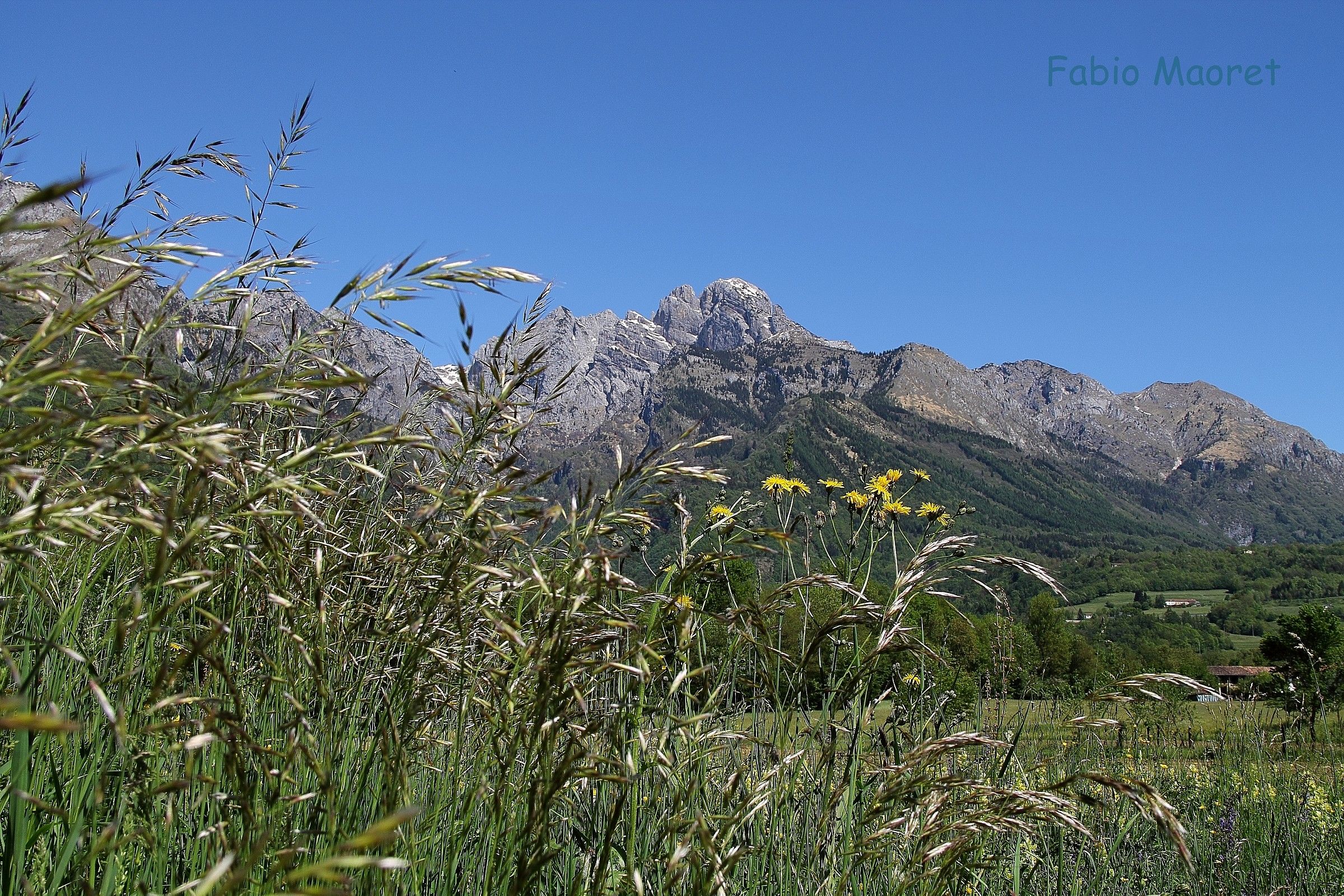 The Monte Pizzocco ..... 04 \ \ 05 \ \ 2014